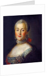Portrait of Grand Duchess Catherine Alekseyevna, 1760 by Alexei Petrovich Antropov
