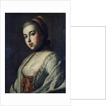 Portrait of Countess Anna Vorontsova, 1761 by Alexei Petrovich Antropov