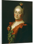 Portrait of Countess Tatyana Alexeyevna Trubetskaya, 1761 by Alexei Petrovich Antropov