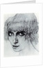 Portrait of Marchesa Luisa Casati, 1912 by Léon Bakst