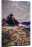 Blooming Meadow, 1906 by Mikhail Andreyevich Berkos