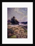 Blooming Meadow, 1906 by Mikhail Andreyevich Berkos
