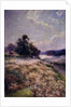 Blooming Meadow, 1906 by Mikhail Andreyevich Berkos