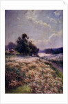 Blooming Meadow, 1906 by Mikhail Andreyevich Berkos