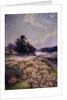 Blooming Meadow, 1906 by Mikhail Andreyevich Berkos
