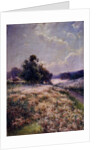 Blooming Meadow, 1906 by Mikhail Andreyevich Berkos