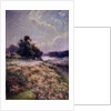 Blooming Meadow, 1906 by Mikhail Andreyevich Berkos
