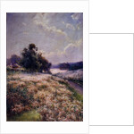 Blooming Meadow, 1906 by Mikhail Andreyevich Berkos