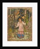 Vasilisa the Beautiful (Illustration to the book Vasilisa the Beautiful), 1900 by Ivan Yakovlevich Bilibin