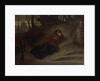 Abandoned. The Vatican and Sin, 1872 by Feodor Andreyevich Bronnikov