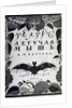 Book cover The theatre La Chauve-Souris (The Bat) by A. Efros, 1918 by Sergei Vasilievich Chekhonin