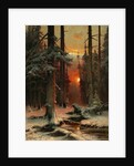 Snow in Forest, 1885 by Juli Julievich von Klever