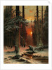 Snow in Forest, 1885 by Juli Julievich von Klever