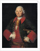 Portrait of Count Ivan Terentyevich Meshchersky, 1756 by Mina Lukich Kolokolnikov