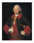 Portrait of Count Ivan Terentyevich Meshchersky, 1756 by Mina Lukich Kolokolnikov