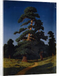 Pine Tree by Arkhip Ivanovich Kuindzhi
