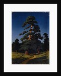 Pine Tree by Arkhip Ivanovich Kuindzhi