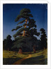 Pine Tree by Arkhip Ivanovich Kuindzhi