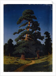 Pine Tree by Arkhip Ivanovich Kuindzhi