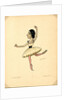Ballet dancer Tamara Karsavina by Nikolai Gustavovich Legat