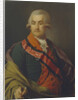 Portrait of Count Otto Heinrich Igelström, 1790 by Dmitri Grigorievich Levitsky