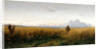 Footpath in a rye field, 1881 by Grigori Grigoryevich Myasoedov