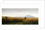 Footpath in a rye field, 1881 by Grigori Grigoryevich Myasoedov