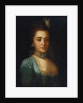 Portrait of Princess Praskovya Ivanovna Golitsyna by Fyodor Stepanovich Rokotov