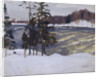 Imatra, 1912 by Arkadi Alexandrovich Rylov