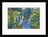Forest River, 1929 by Arkadi Alexandrovich Rylov