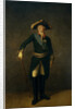 Portrait of the Emperor Paul I of Russia, 1797 by Stepan Semyonovich Shchukin
