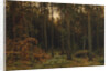 Pinewood, 1885 by Ivan Ivanovich Shishkin