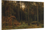 Pinewood, 1885 by Ivan Ivanovich Shishkin