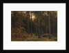 Pinewood, 1885 by Ivan Ivanovich Shishkin