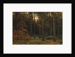 Pinewood, 1885 by Ivan Ivanovich Shishkin
