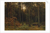 Pinewood, 1885 by Ivan Ivanovich Shishkin