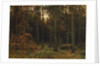 Pinewood, 1885 by Ivan Ivanovich Shishkin