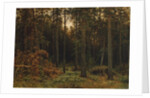 Pinewood, 1885 by Ivan Ivanovich Shishkin