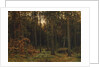 Pinewood, 1885 by Ivan Ivanovich Shishkin