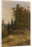 The Pine Forest, 1895 by Ivan Ivanovich Shishkin