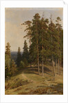 The Pine Forest, 1895 by Ivan Ivanovich Shishkin