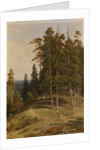 The Pine Forest, 1895 by Ivan Ivanovich Shishkin