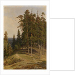 The Pine Forest, 1895 by Ivan Ivanovich Shishkin
