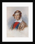Portrait of the Poet Prince Pyotr A. Vyazemsky, 1830s by Pyotr Fyodorovich Sokolov