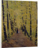 Autumn, 1905 by Evgeni Ivanovich Stolitsa