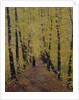Autumn, 1905 by Evgeni Ivanovich Stolitsa