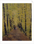Autumn, 1905 by Evgeni Ivanovich Stolitsa