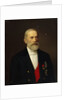 Portrait of Nikolai Khristianovich Bunge, 1887 by Ivan Alexeevich Tyurin