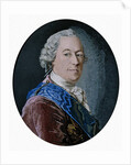 Portrait of Count Mikhail Illarionovich Vorontsov, 1755 by Matvey Vasilyevich Vasilyev