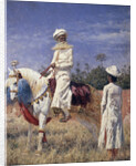 A horseman in Jaipur, 1881 by Vasili Vasilyevich Vereshchagin